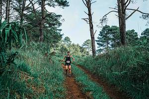 BIB: 
                            <button type="button" onclick="openModal(25653302)" class="btn btn-primary btn-sm float-right btn-popup" data-toggle="modal" data-target=".modal-high-quality">
                        <i class="fas fa-shopping-cart"></i> Add to Cart
                    </button>
                                            <button type="button" onclick="isThisMe(25653302, true)" class="btn btn-success btn-sm float-right btn-popup btn-isme hidden" data-toggle="tooltip" data-placement="bottom" title="นี่คือรูปของคุณใช่ไหม คลิกที่นี่เพื่อเอาเข้าอัลบั้ม">
                        <i class="fas fa-plus"></i> Add to album
                    </button>
                    <button type="button" onclick="isThisMe(25653302, false)" class="btn btn-warning btn-sm float-right btn-popup btn-isnotme hidden">
                        <i class="fas fa-ban"></i> Remove from album
                    </button>